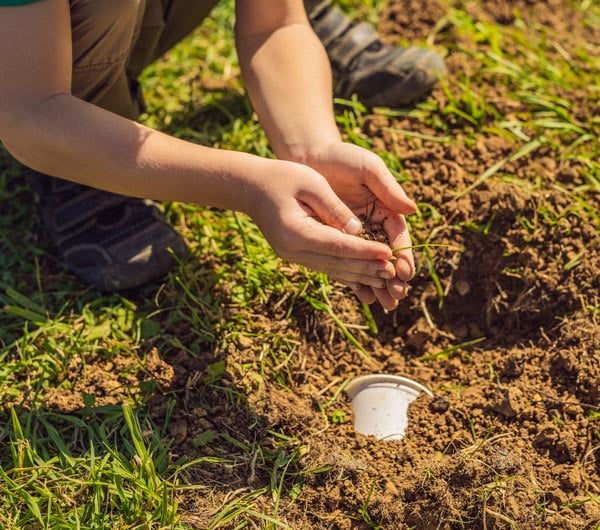 PiP-blog-por-que-elegir-productos-biodegradables-para-mi-negocio-siete